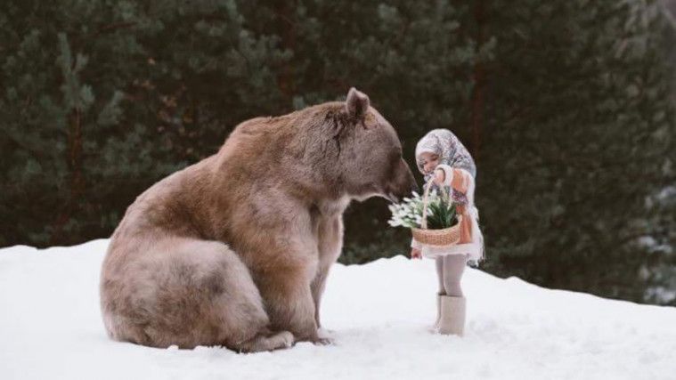 kisah marsha and the bear